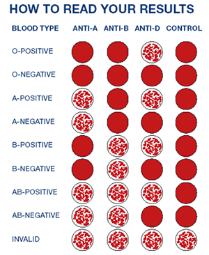 bloodchart