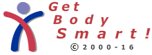 Get Body Smart