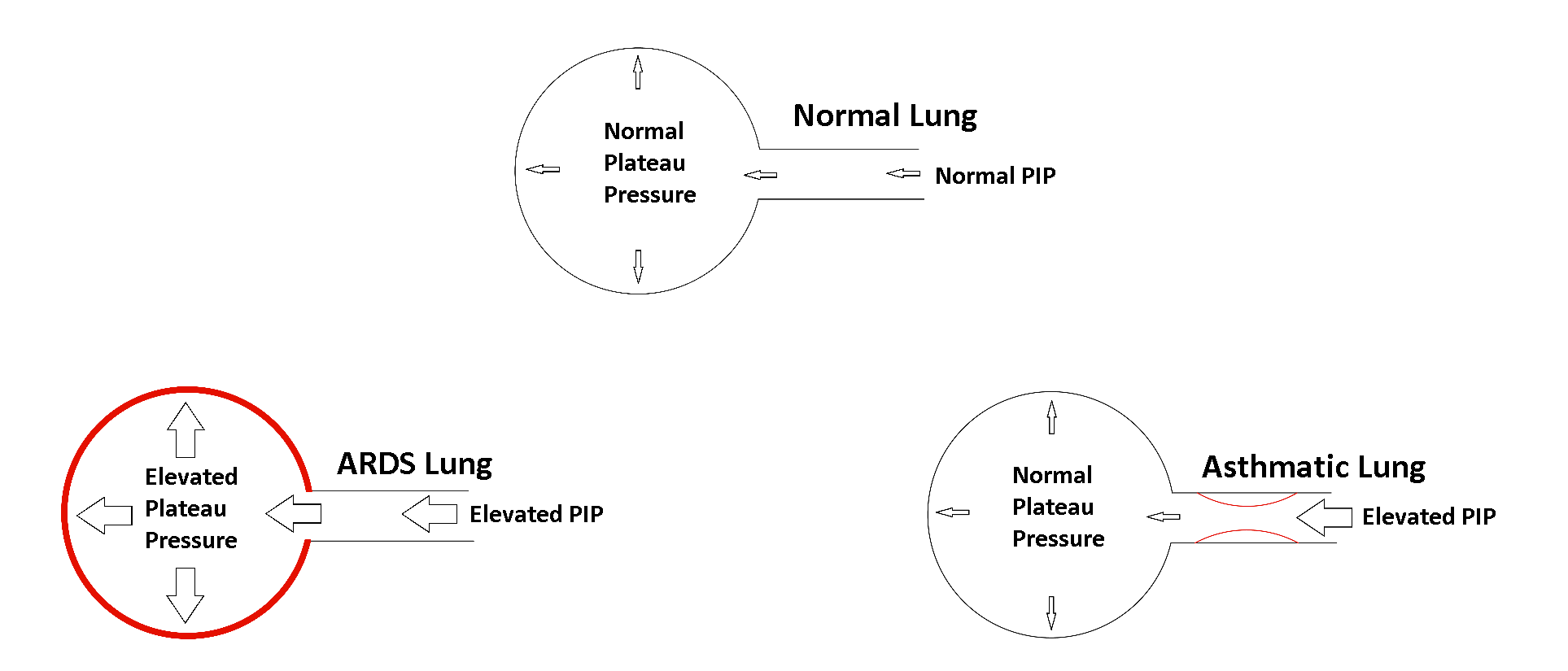 lung patho comparison